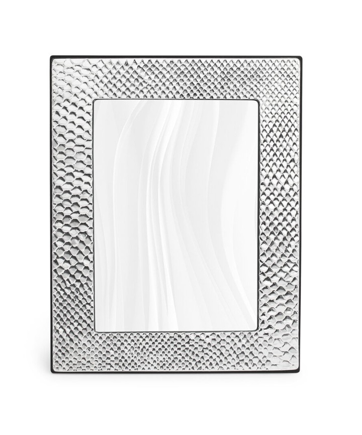 CORNICE SERPENTE FOTO 13X18 - GIOVANNI RASPINI